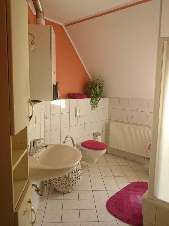 Ferienwohnung Knoche Zittau Exterior foto